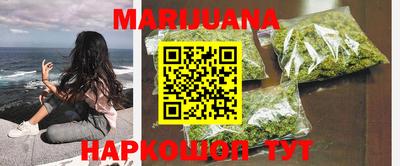 индика Пугачёв
