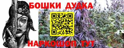 индика Пугачёв